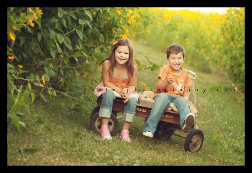 Los Angeles Baby Photographer